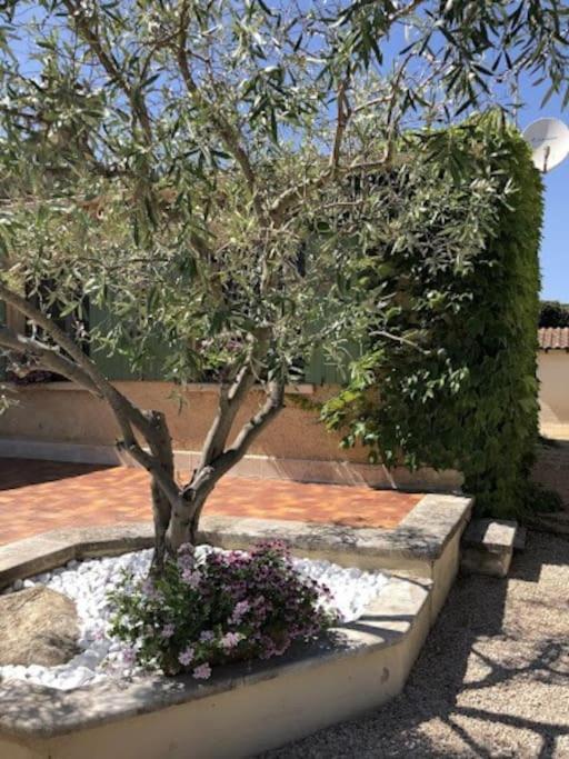 La Pitchoune : Gite Aux Pieds Des Alpilles Mouries Exterior photo