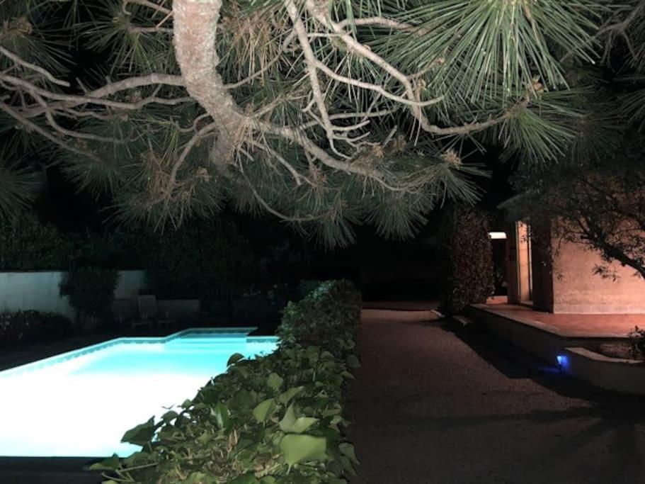 La Pitchoune : Gite Aux Pieds Des Alpilles Mouries Exterior photo